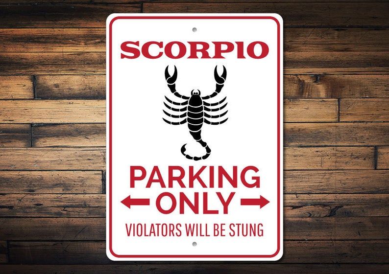 Scorpio zodiac sign territory! 30+ birthday gifts