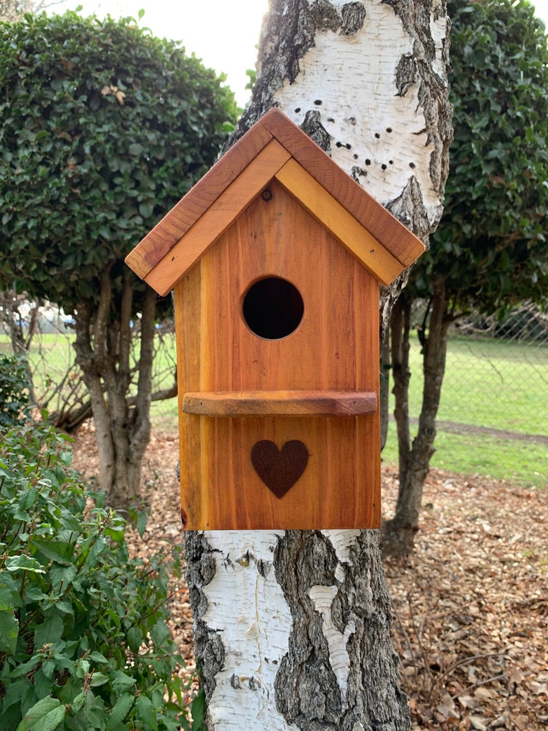 How to choose right birdhouse to attract nesting birds